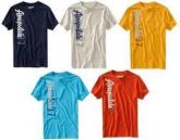 AEROPOSTALE - Camiseta Masculina **ATENÇÃO DESCRIÇÃO**